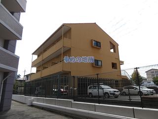 アリエッタ 301号室