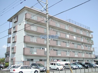 橋村ビル 203号室