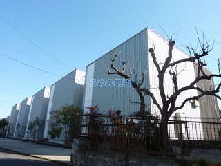 サニーコート上津 1号室