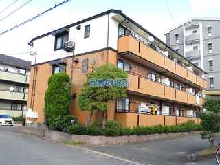 サニーヒル西町A 301号室