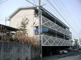 グレースコーポ湯の坂 303号室